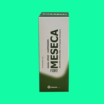 Meseca Fort