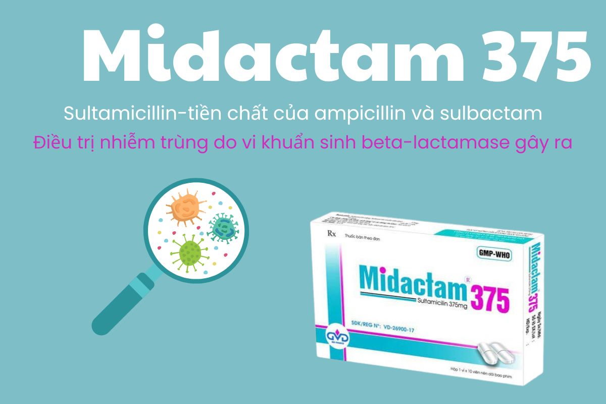 Midactam 375 6 Midactam 375