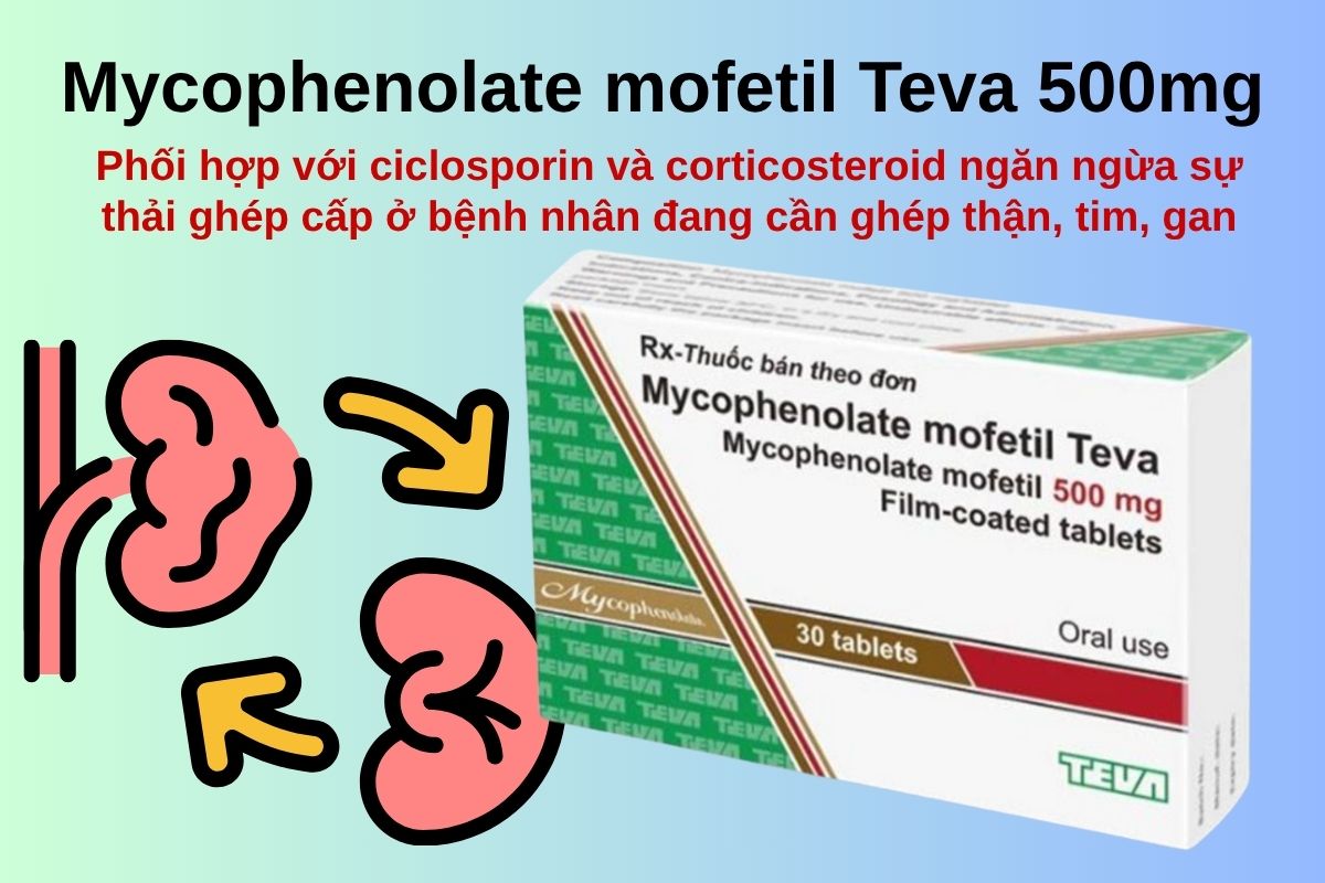 Mycophenolate mofetil Teva 500mg 18 Mycophenolate mofetil Teva 500mg