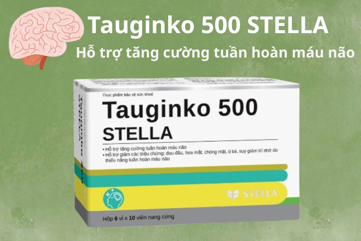 Tauginko 500 STELLA 6 Tauginko 500 STELLA hỗ trợ tăng cường tuần hoàn máu não