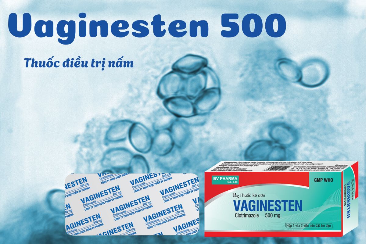 Vaginesten 500 6 Vaginesten 500