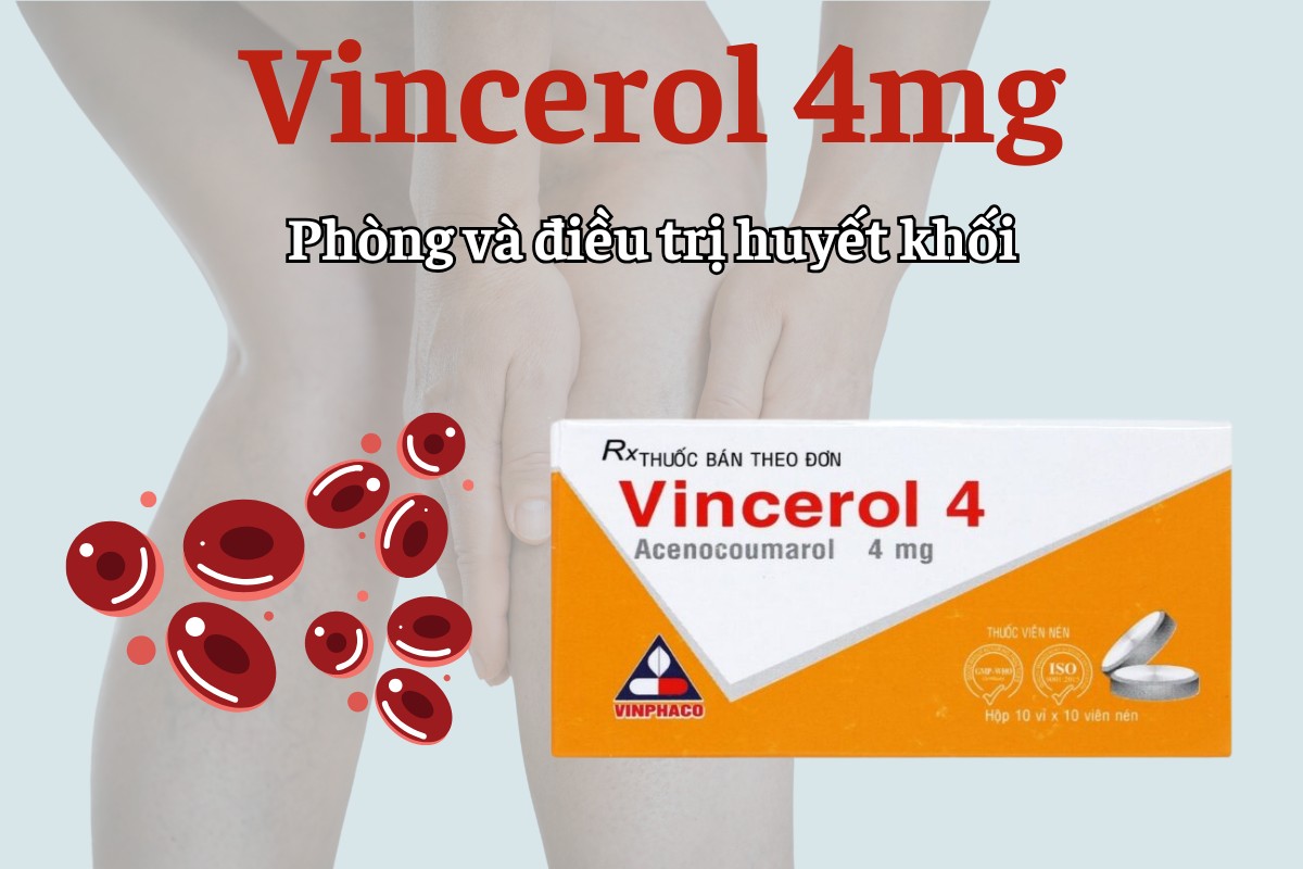 Vincerol 4mg 13 Vincerol 4mg phòng và điều trị huyết khối