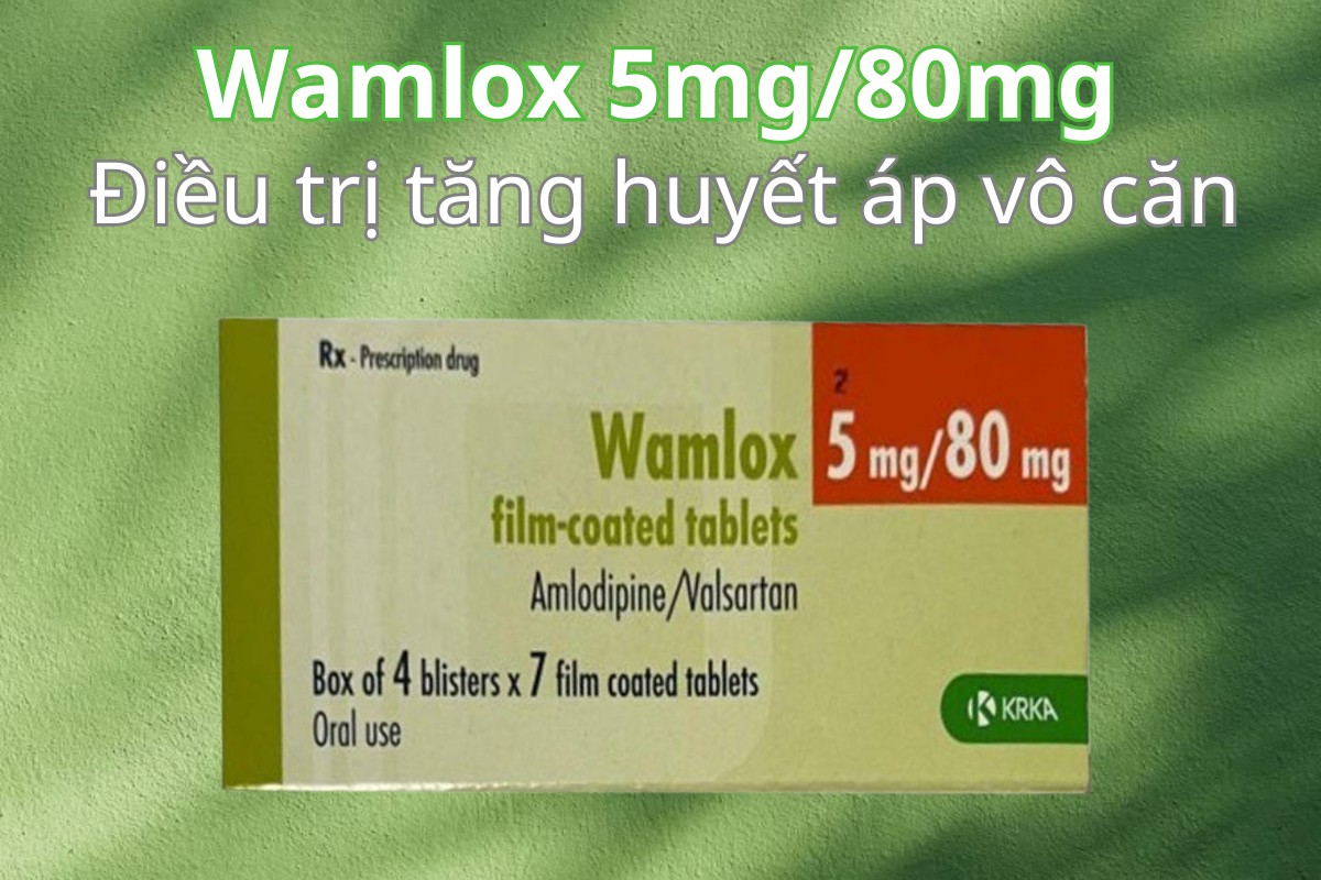 Wamlox 5mg/80mg 5 Wamlox 5mg/80mg điều trị tăng huyết áp vô căn