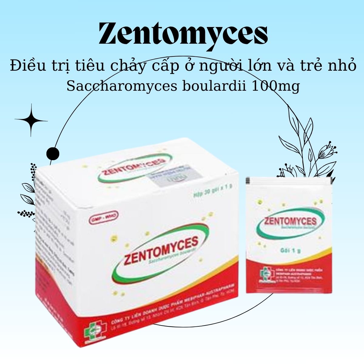Thuốc Zentomyces điều trị tiêu chảy cấp