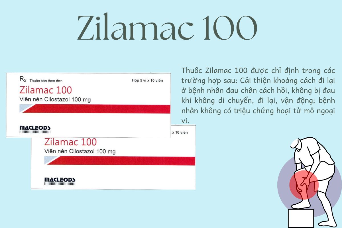 Zilamac 100 7 Chỉ định điều trị Zilamac 100
