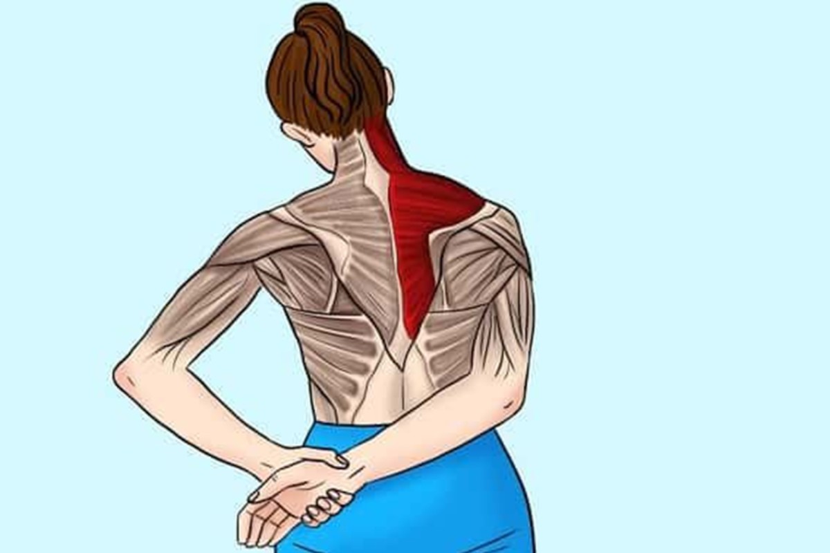 5 bài tập thể dục chữa đau vai gáy hiệu quả nhanh 10 Căng duỗi cơ hình thang