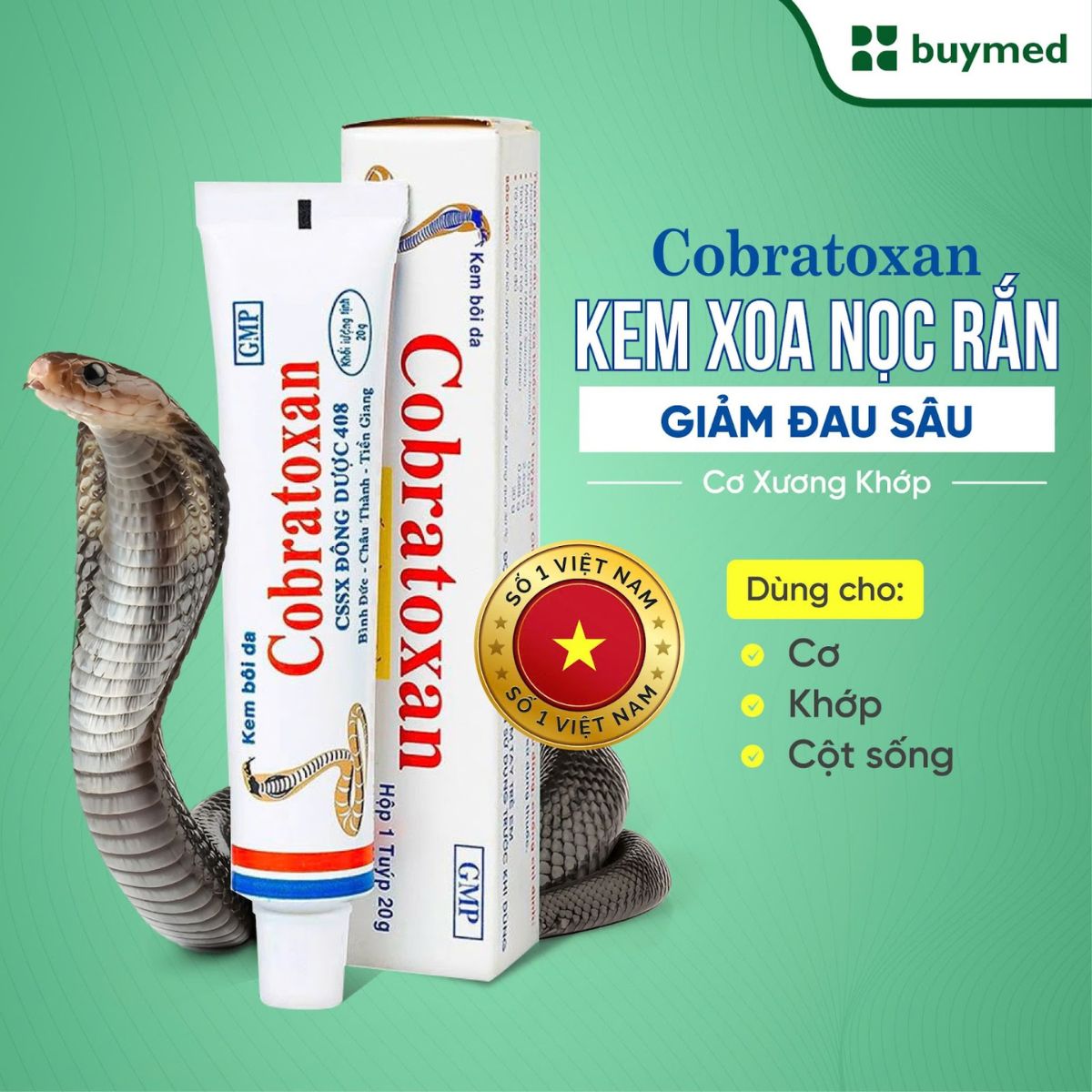 Top 6 Gel Bôi Giảm Đau Cơ Hiệu Quả Được Chuyên Gia Khuyên Dùng 6 Gel bôi giảm đau
