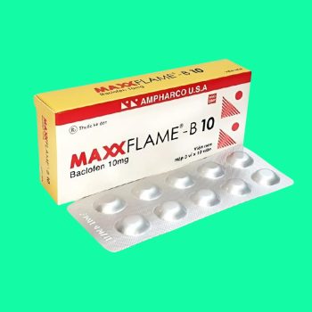 Maxxflame-B10