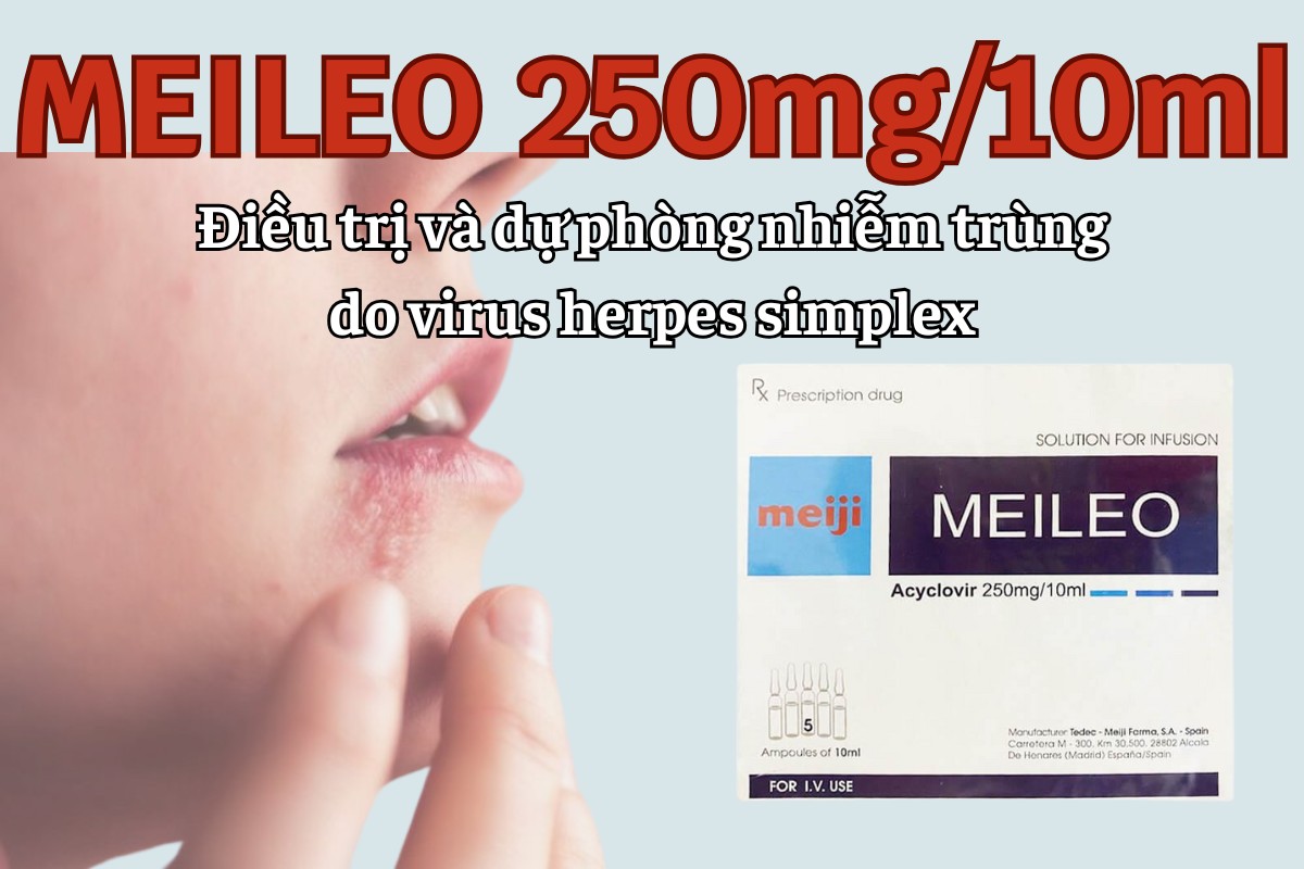 Meileo 250mg/10ml 5 Meileo 250mg/10ml dự phòng và điều trị nhiễm trùng do virus Herpes simplex