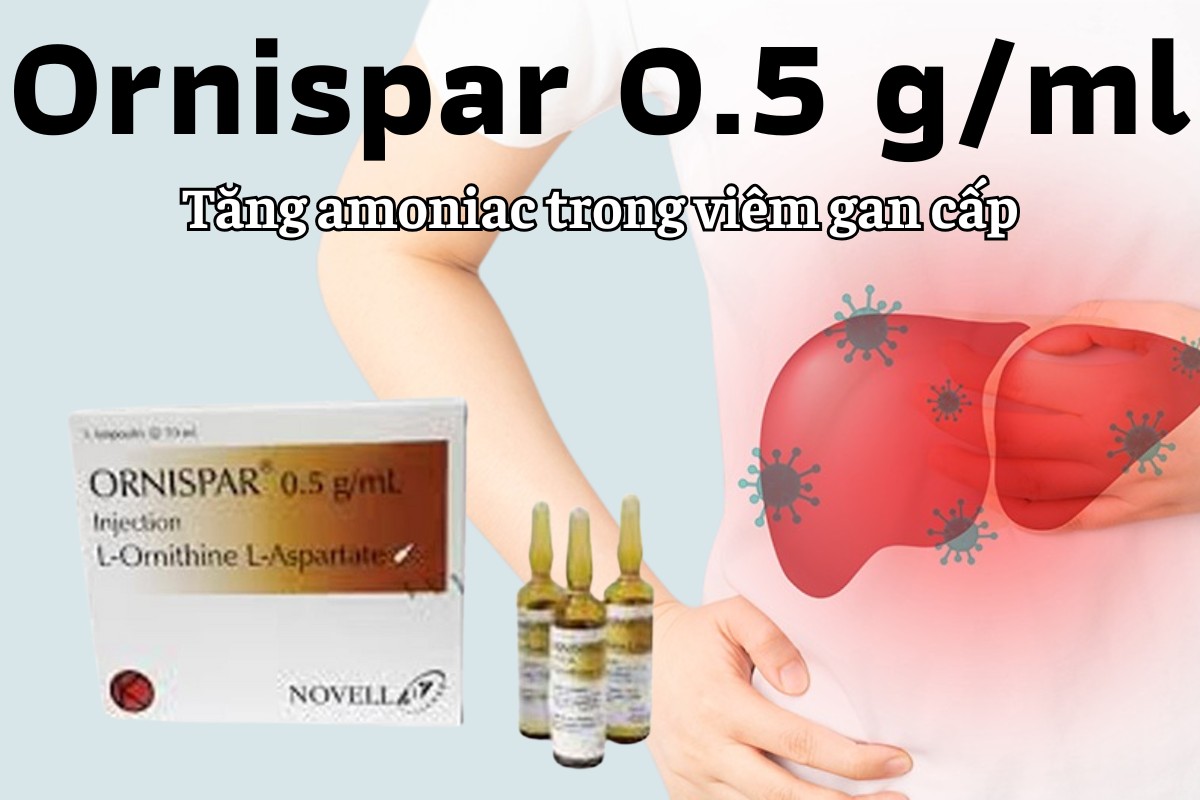 Ornispar 0.5g/ml 5 Ornispar 0.5g/ml điều trị tăng amoniac trong trường hợp viêm gan cấp