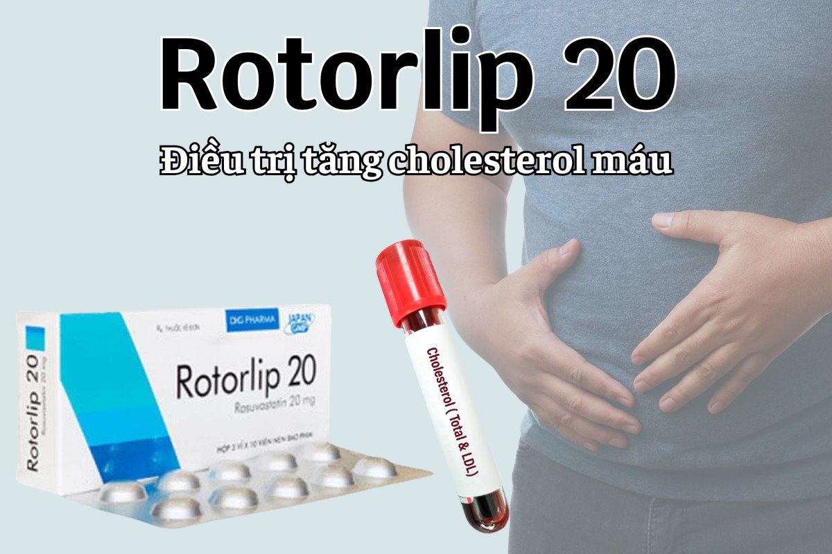 Rotorlip 20 9 Rotorlip 20 điều trị tăng cholesterol máu