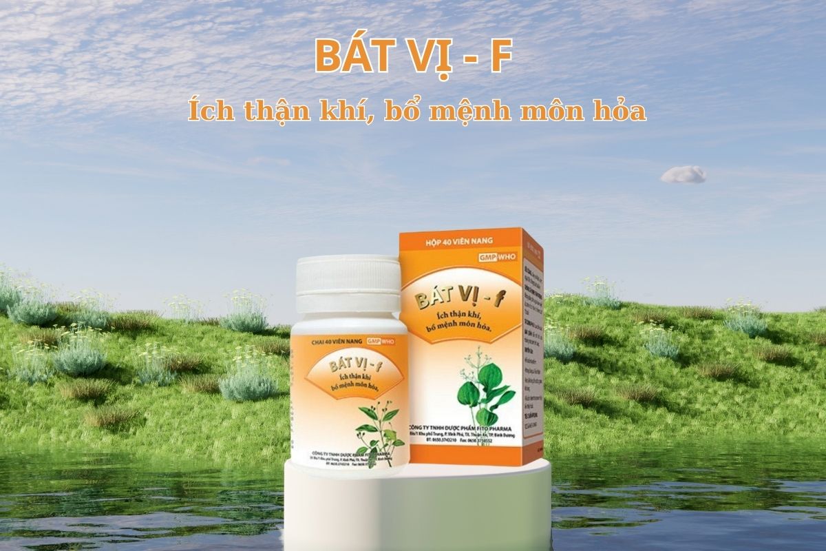 Bát vị - F 10 Thuốc Bát vị - F có tác dụng ích thận khí, bổ mệnh môn hỏa