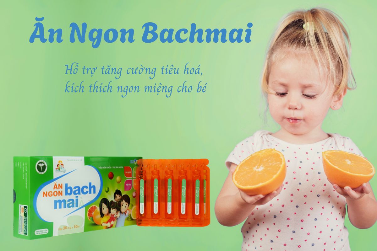 Ăn Ngon Bachmai 12 Ăn Ngon Bachmai