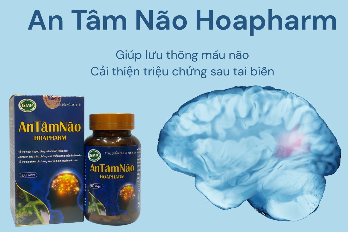 An Tâm Não Hoapharm 12 An Tâm Não Hoapharm