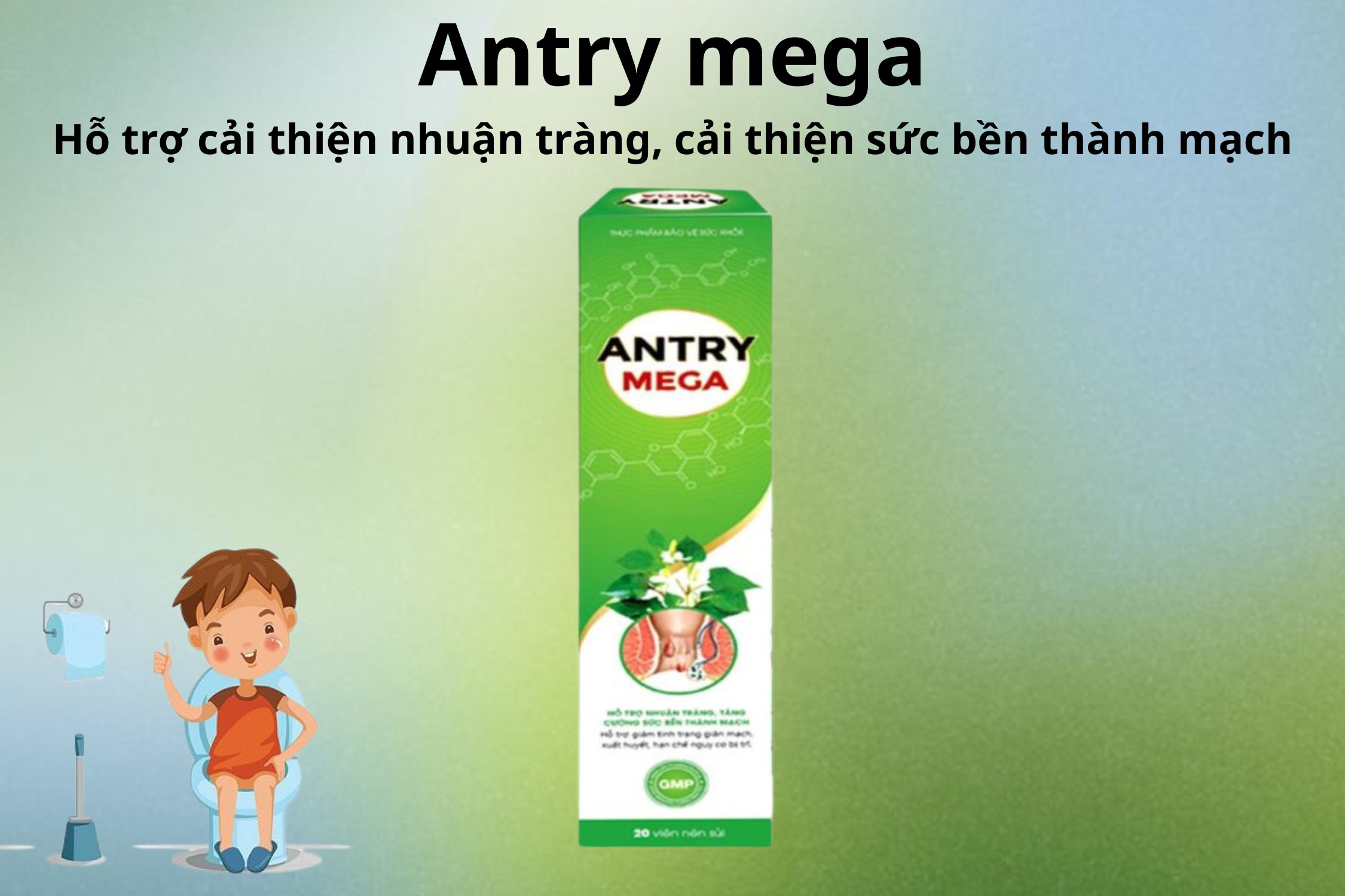 Antry mega 6 Antry mega hỗ trợ tăng sức bền thành mạch