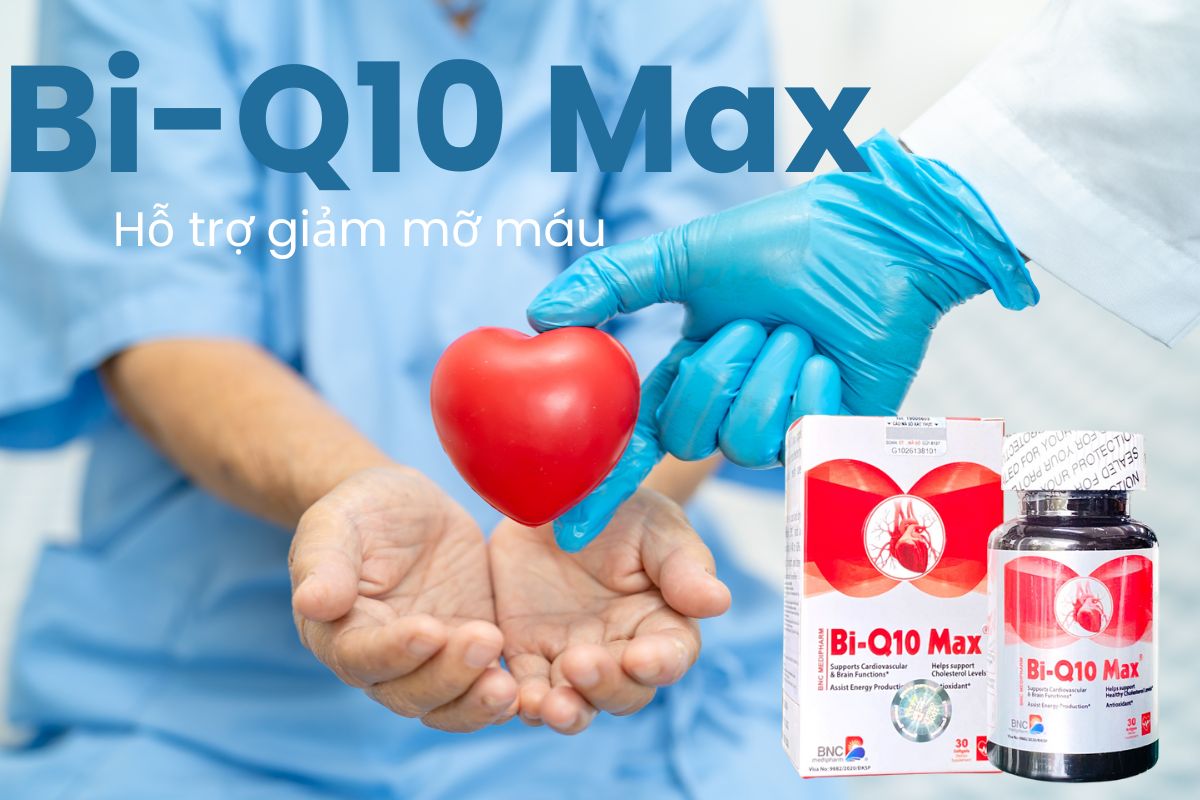 Bi-Q10 Max 21 Bi Q10