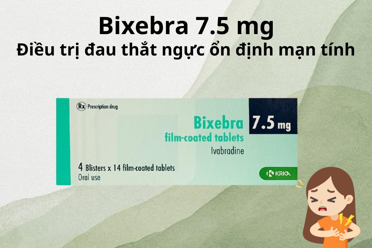Bixebra 7.5mg 8 Bixebra 7.5mg điều trị đau thắt ngực ổn định mạn tính