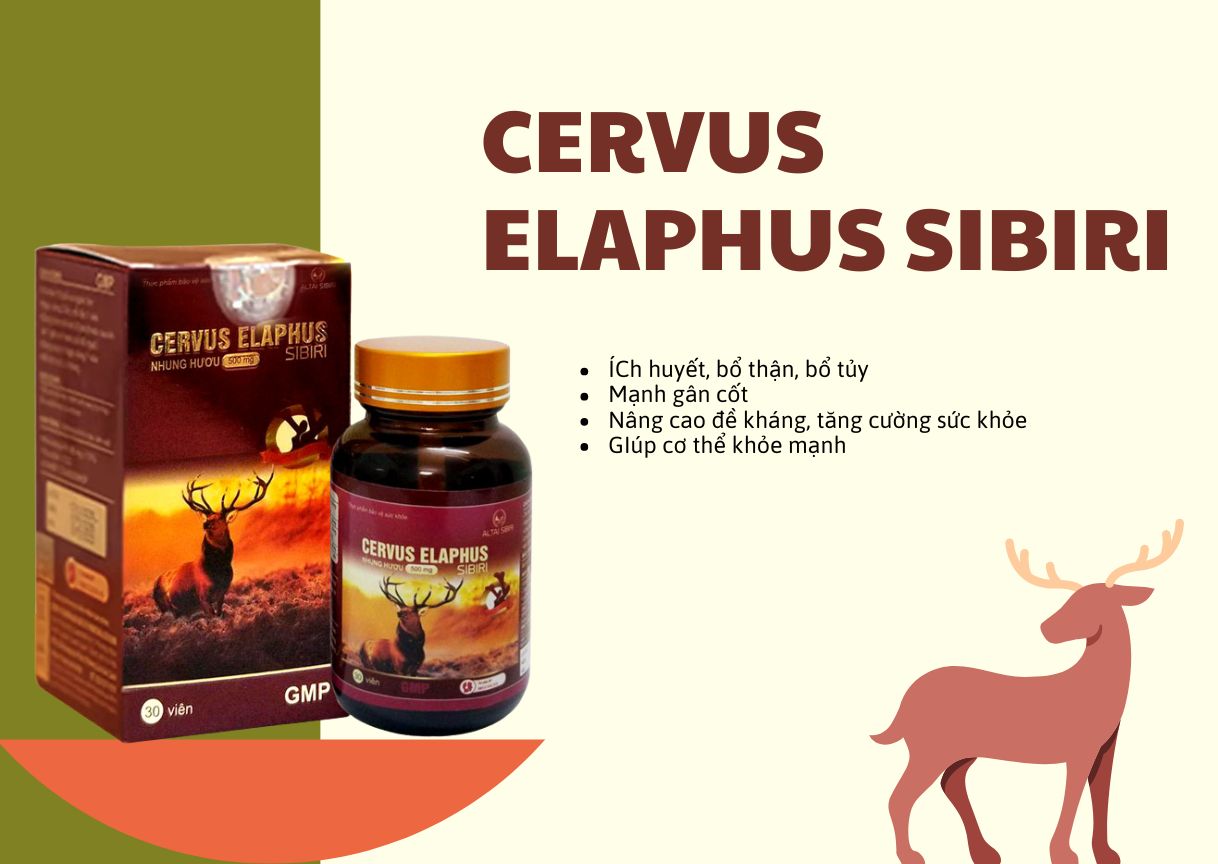 Cervus Elaphus Sibiri 8 Cervus Elaphus Sibiri