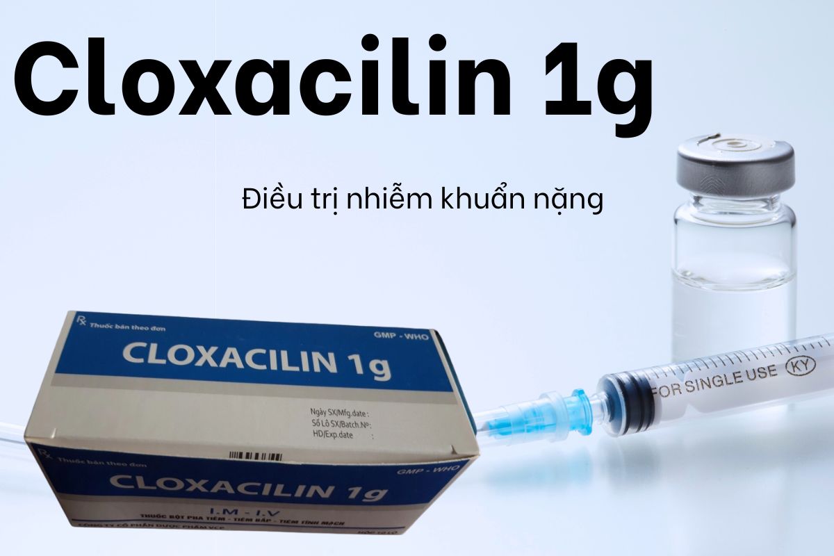 Cloxacilin 1g 6 Cloxacilin 1g