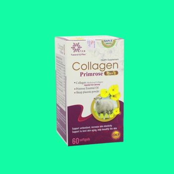 Collagen Primrose Plus+
