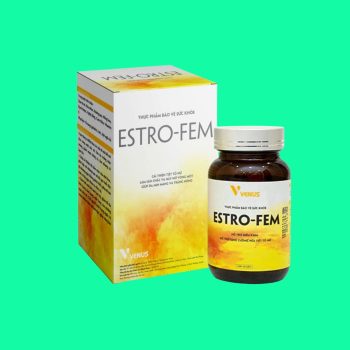 ESTRO-FEM