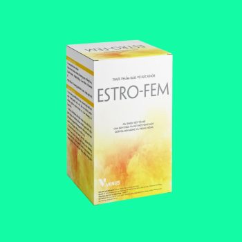 ESTRO-FEM