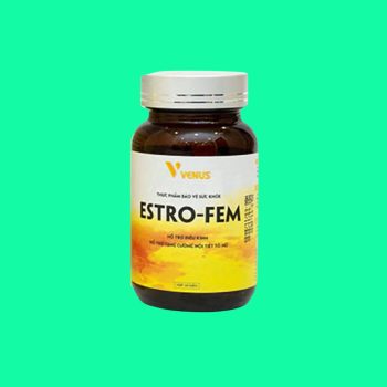 ESTRO-FEM