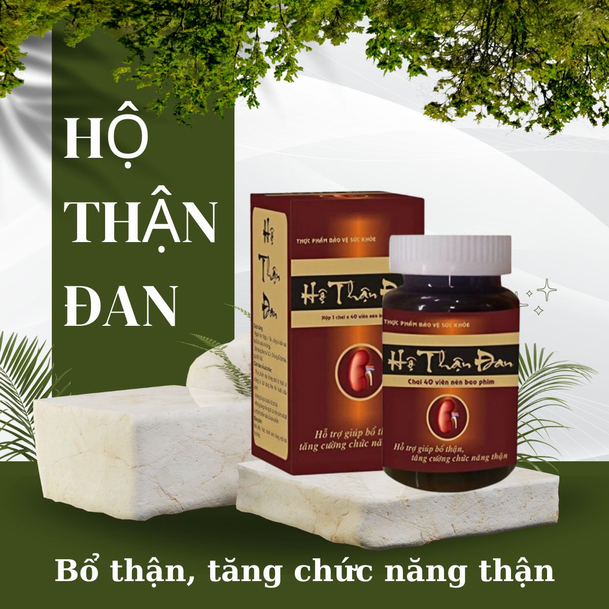 Hộ Thận Đan 7 Hộ Thận Đan