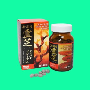 Linh chi sừng hươu đỏ Japan Premium
