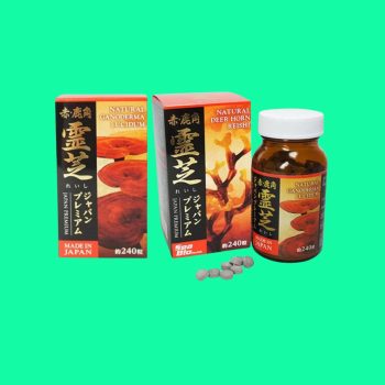 Linh chi sừng hươu đỏ Japan Premium