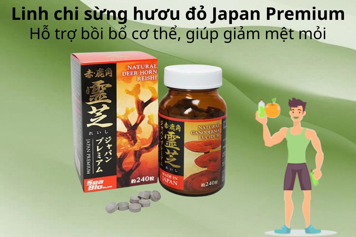 Linh chi sừng hươu đỏ Japan Premium 9 Linh chi sừng hươu đỏ Japan Premium hỗ trợ bồi bổ cơ thể