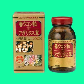 Spring Turmeric Tablet + Agaricus