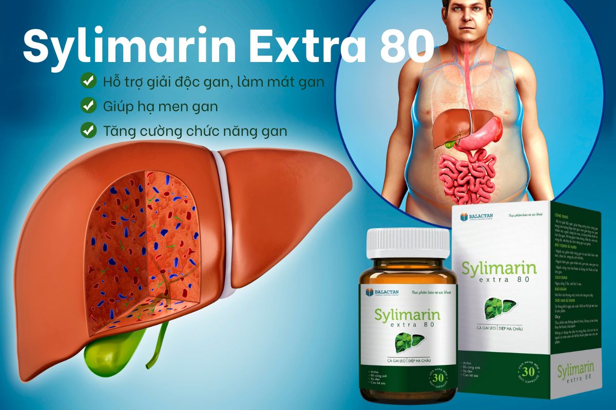 Sylimarin Extra 80 13 Sylimarin Extra 80