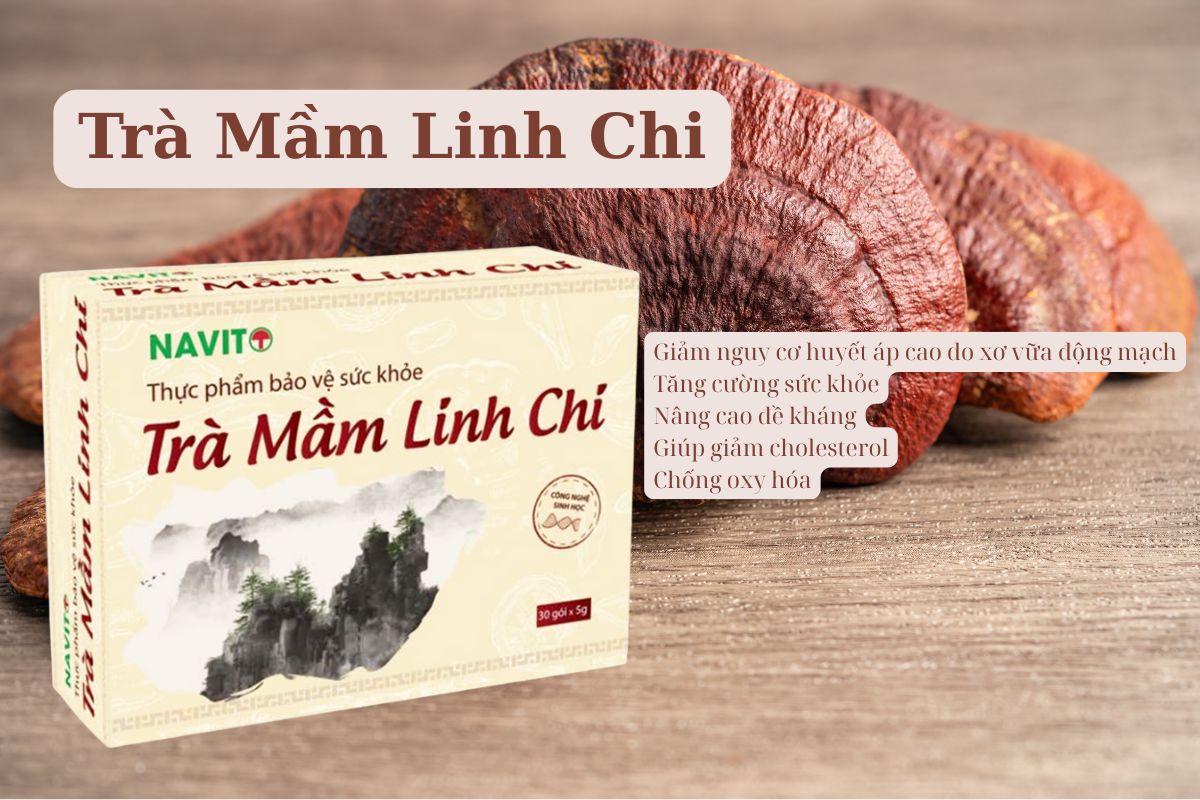 Trà Mầm Linh Chi