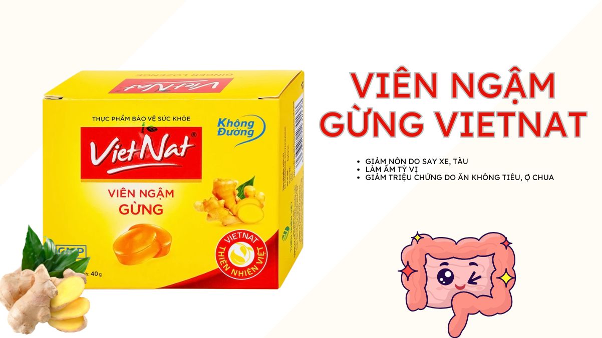 Viên ngậm Gừng VietNat (không đường) 9 Viên ngậm Gừng VietNat