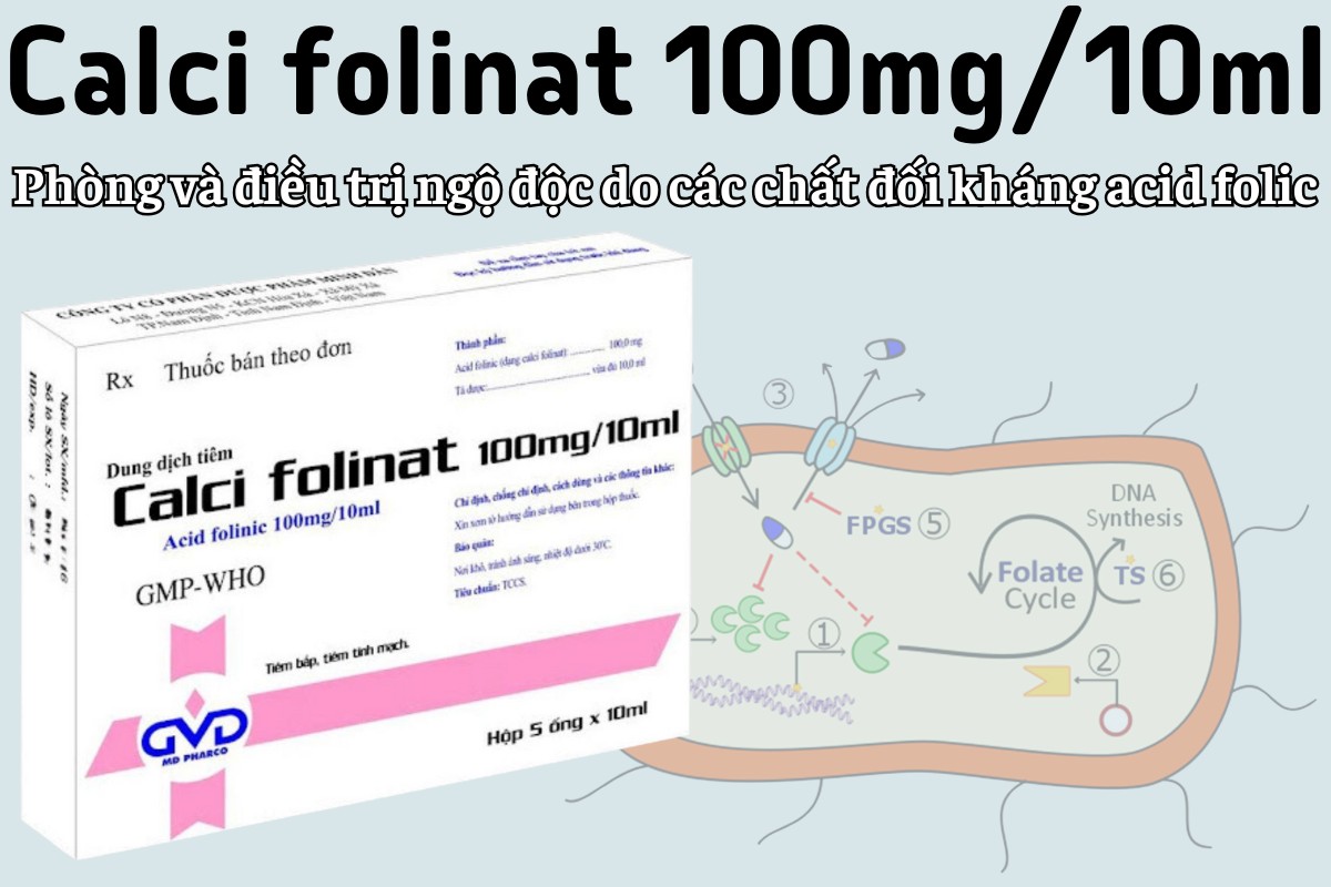 Calci folinat 100mg/10ml 6 Calci folinat 100mg/10ml điều trị ngộ độc do các chất đối kháng acid folic