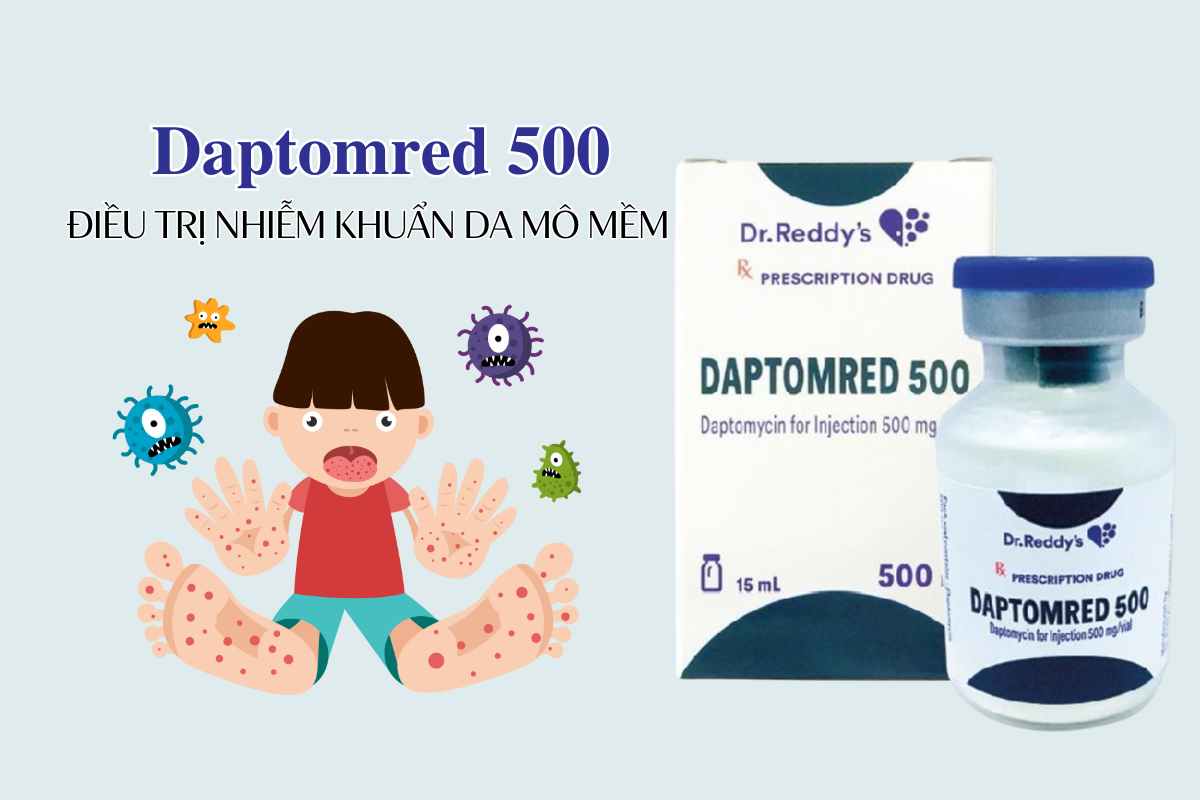 Daptomred 500 6 Daptomred 500mg điều trị nhiễm khuẩn da mô mềm