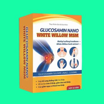 Glucosamin Nano White Willow MSM