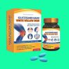 Glucosamin Nano White Willow MSM