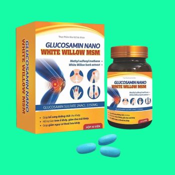 Glucosamin Nano White Willow MSM