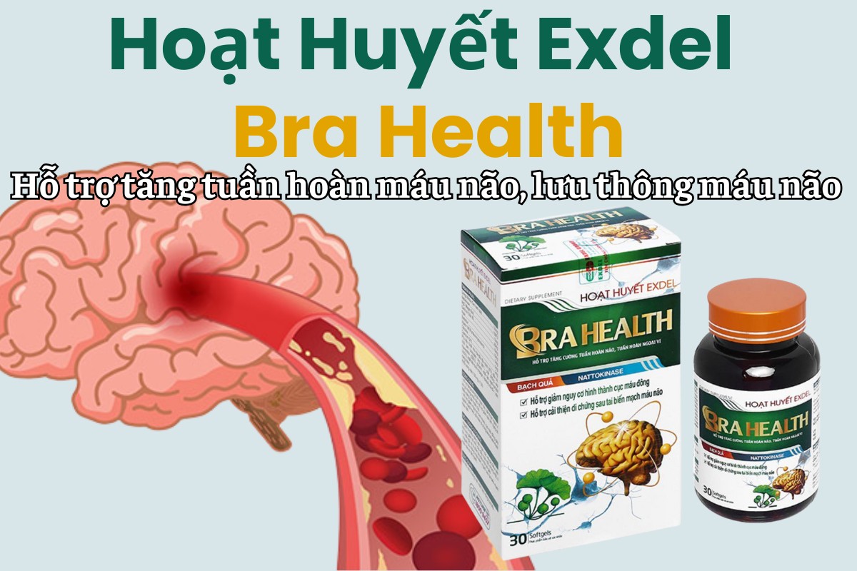 Hoạt Huyết Exdel Bra Health 11 Hoạt Huyết Exdel Bra Health hỗ trợ tăng tuần hoàn máu não