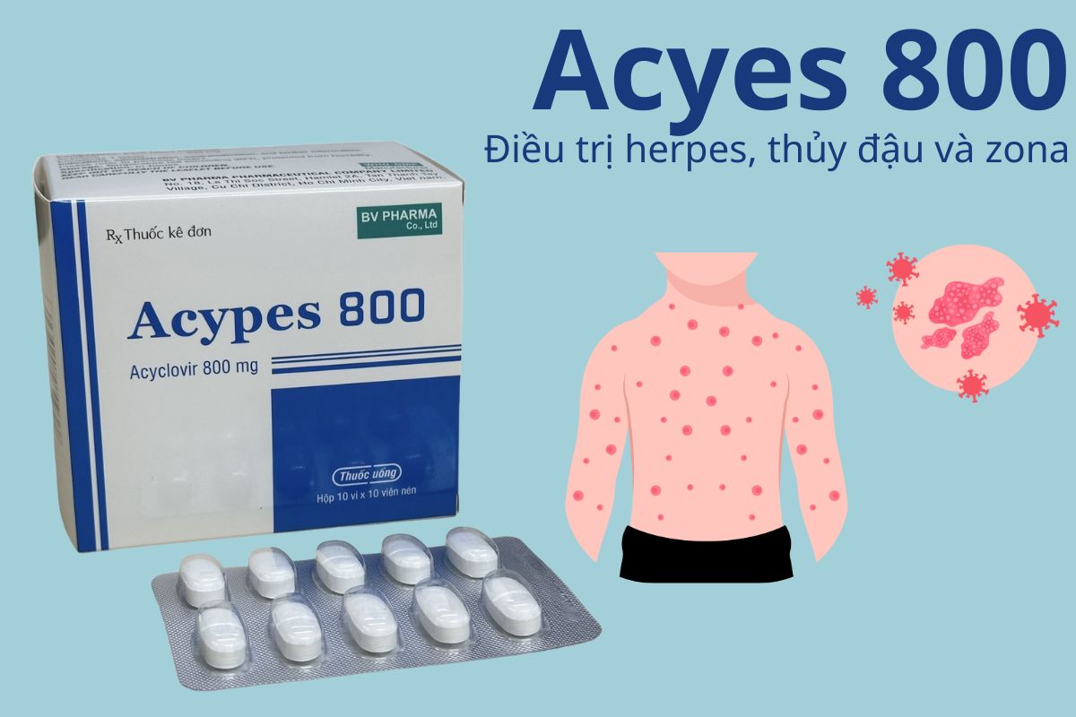 Acyes 800 8 Acyes 800
