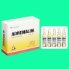 Adrenalin 1mg/1ml Vinphaco