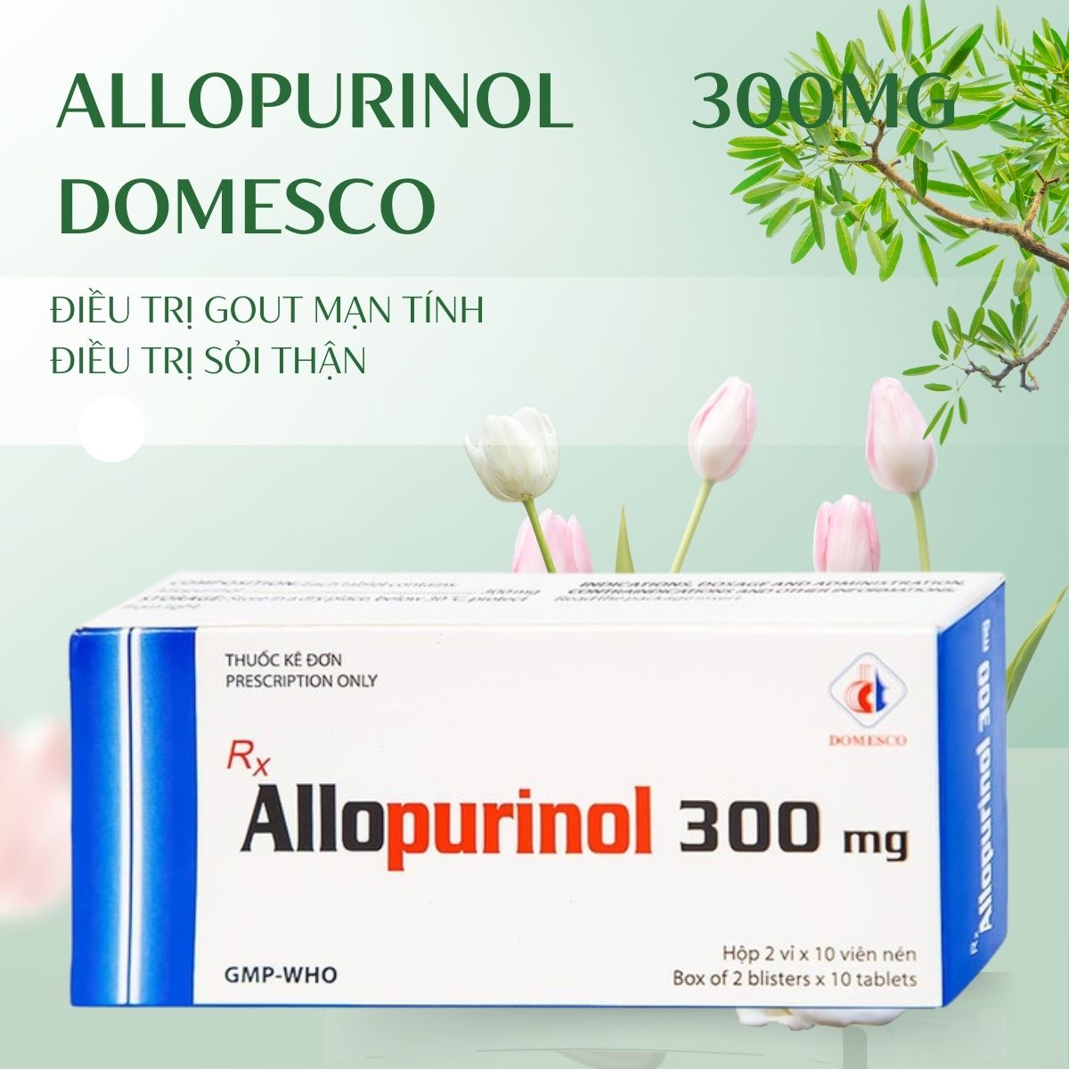 Allopurinol 300mg Domesco điều trị Gout mạn tính