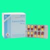 Amoxicillin 500mg Domesco