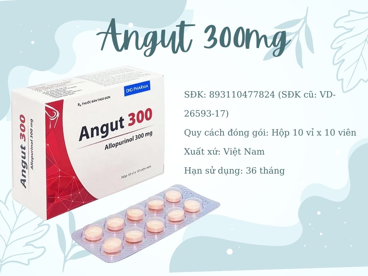 Angut 300mg 14 Angut 300mg giảm hình thành acid uric, điều trị sỏi thận