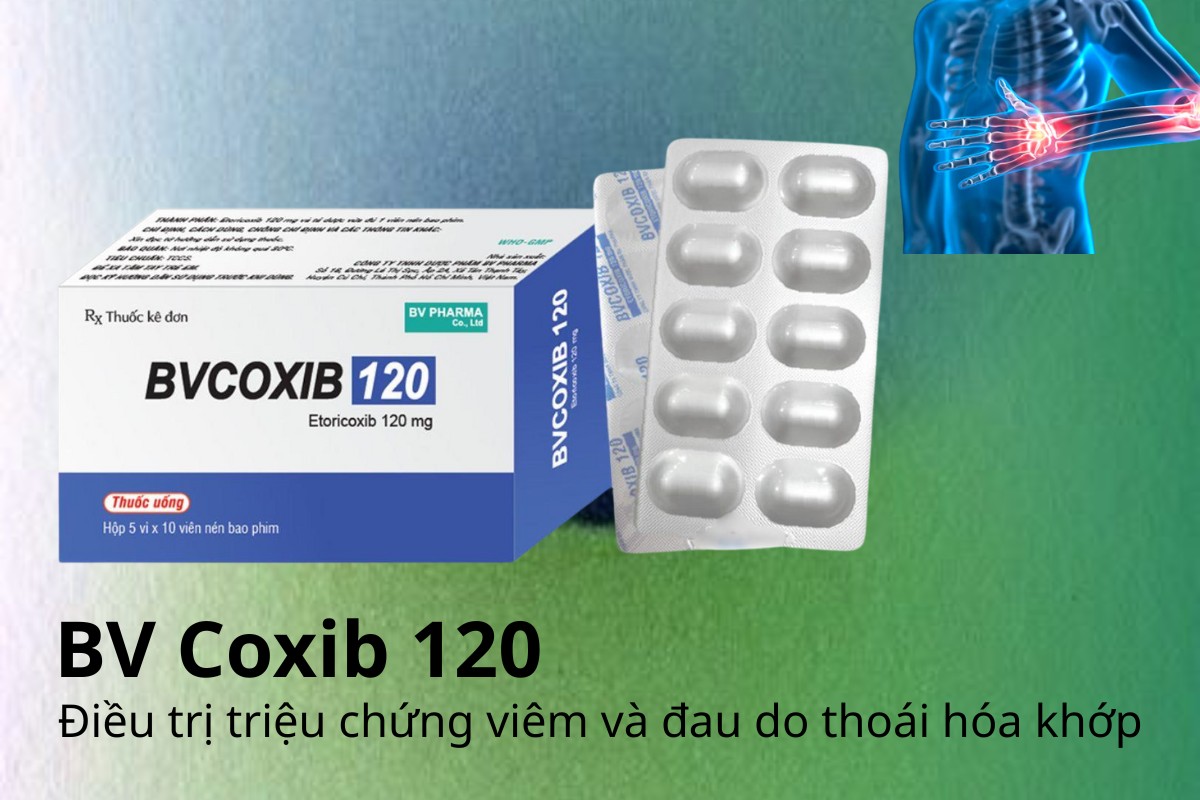BV Coxib 120 điều trị triệu chứng viêm và đau do thoái hóa khớp
