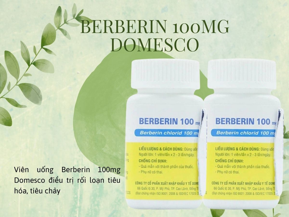 Berberin 100mg Domesco 9 Berberin 100mg Domesco điều trị triệu chứng do nhiễm khuẩn đường ruột