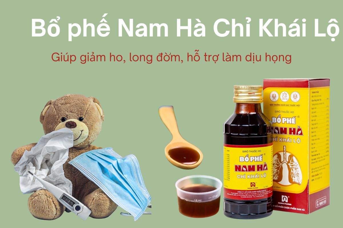 Bổ phế Nam Hà Chỉ Khái Lộ 13 Bổ phế Nam Hà Chỉ Khái Lộ