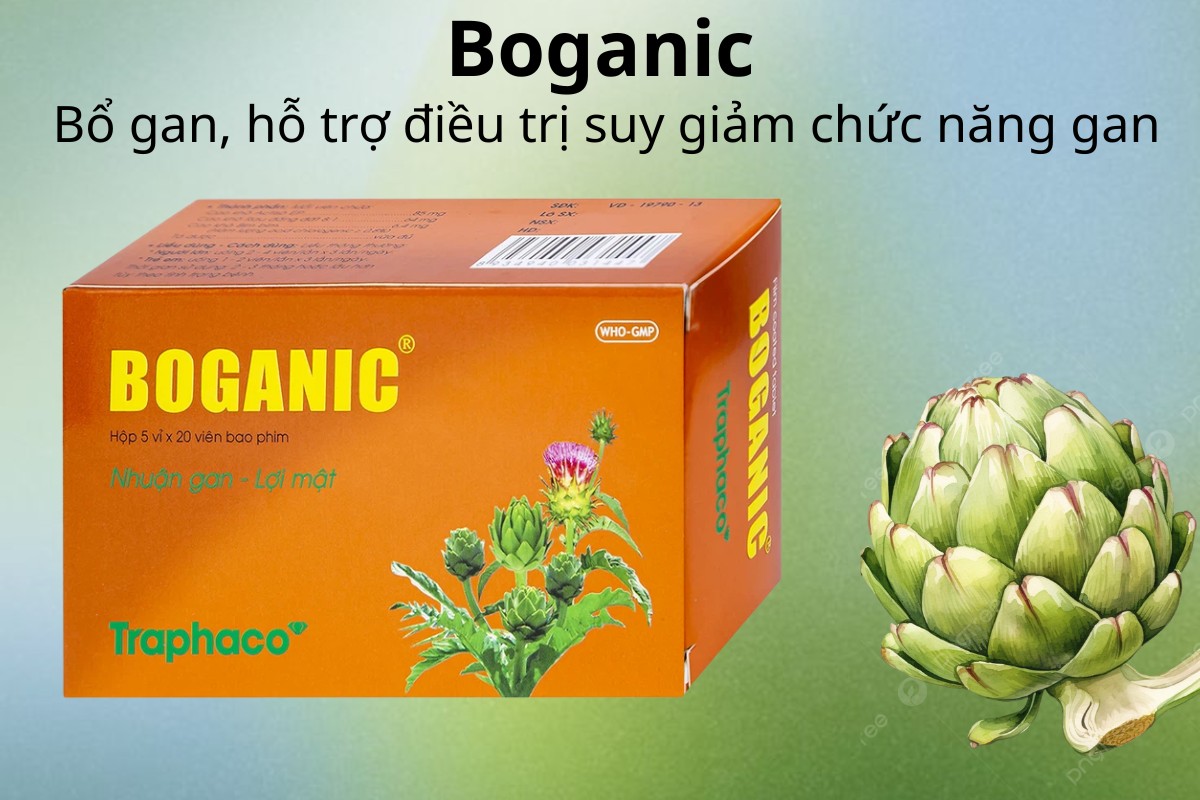Boganic bổ gan, hỗ trợ điều trị suy giảm chức năng gan